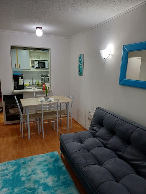 Popular Airbnb listing: Apartment in Bellas Artes neighborhood, steps from the metro in Santiago
