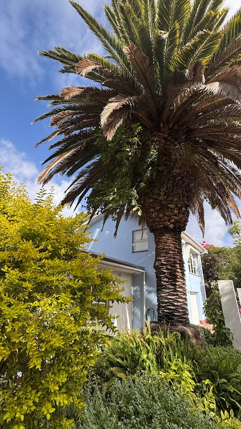 Die Blou Gans ~ Family Villa Cape Town & winelands
