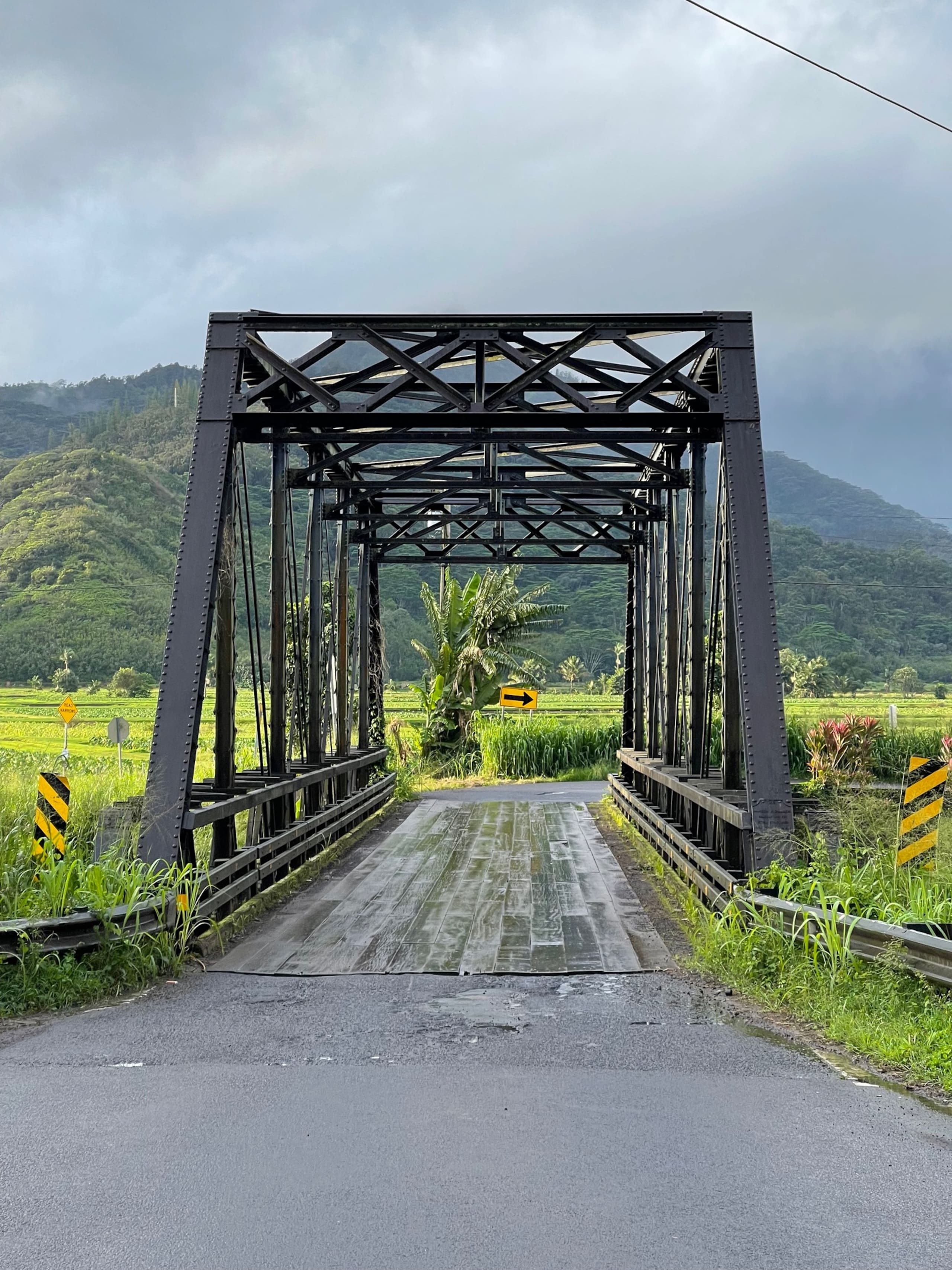 Home in Princeville · ★5.0 · 2 bedrooms · 3 beds · 2 baths - Image 38