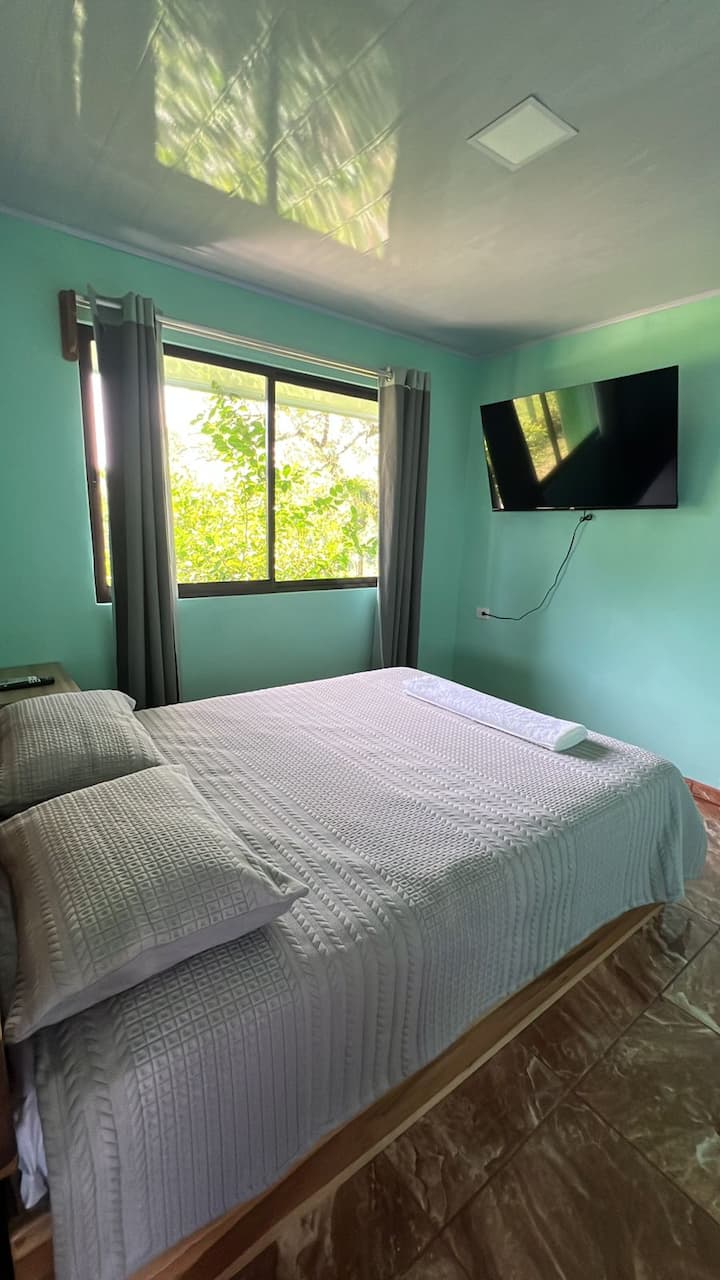 Habitación 1