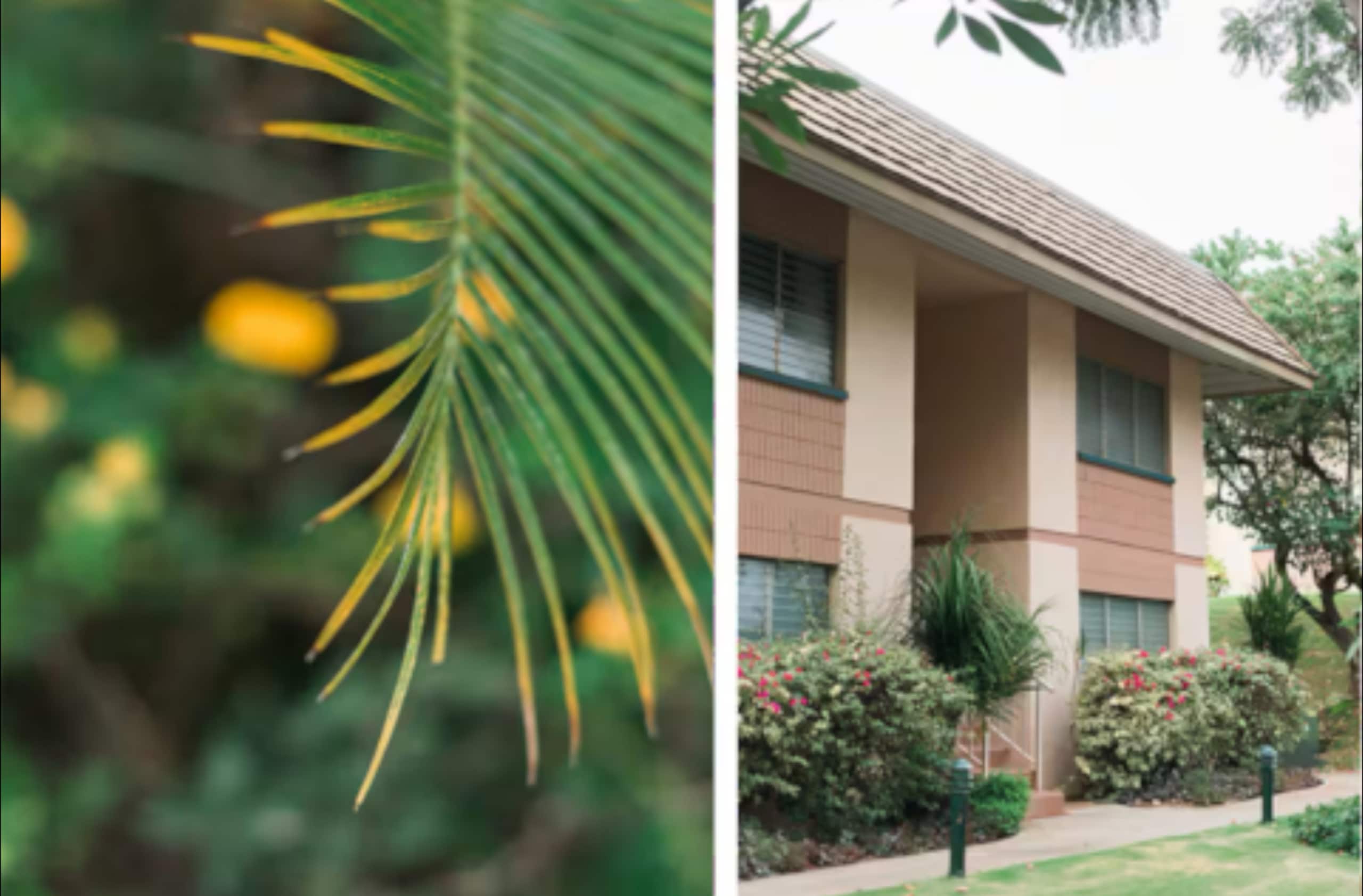 Condo in Kihei · ★4.93 · 1 bedroom · 2 beds · 1 private bath - Image 23