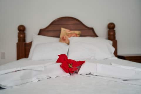 Lina and Fanga's Airbnb