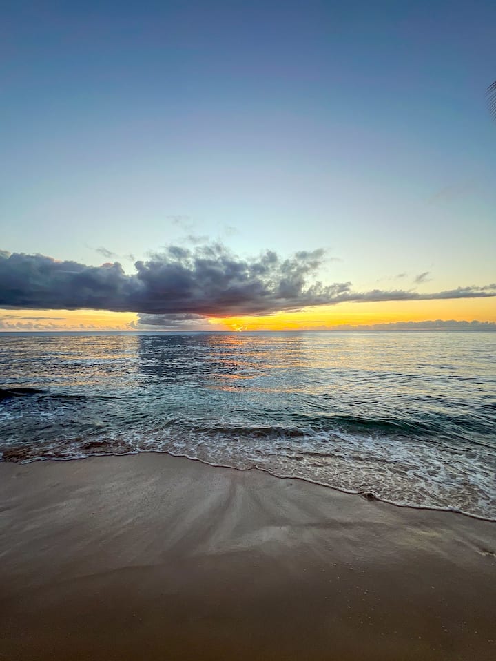 Beachfront Two Bedroom Apartment - James Bay Lower - Apartments