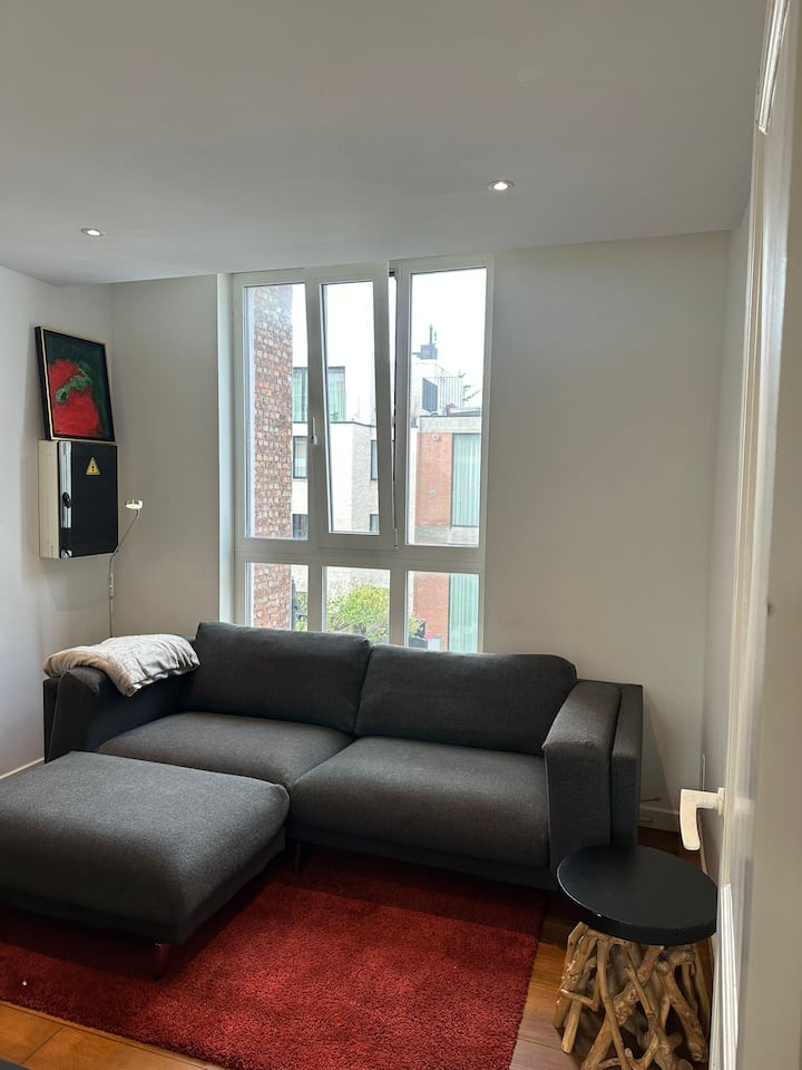 The Grand & Cozy Escape In Ghent - Ghent