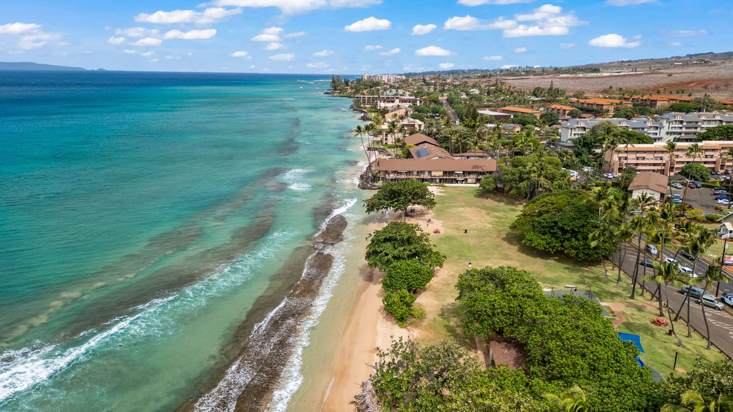 Beachfront Bliss - Photo 61