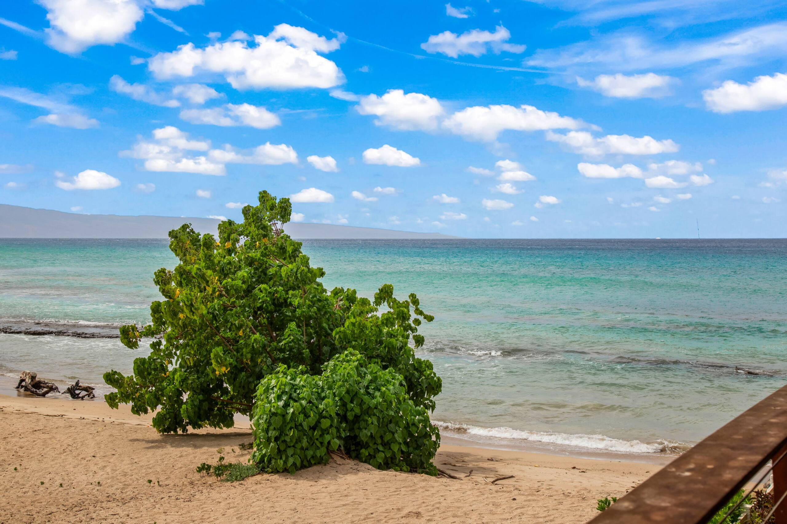Beachfront Bliss - Photo 44