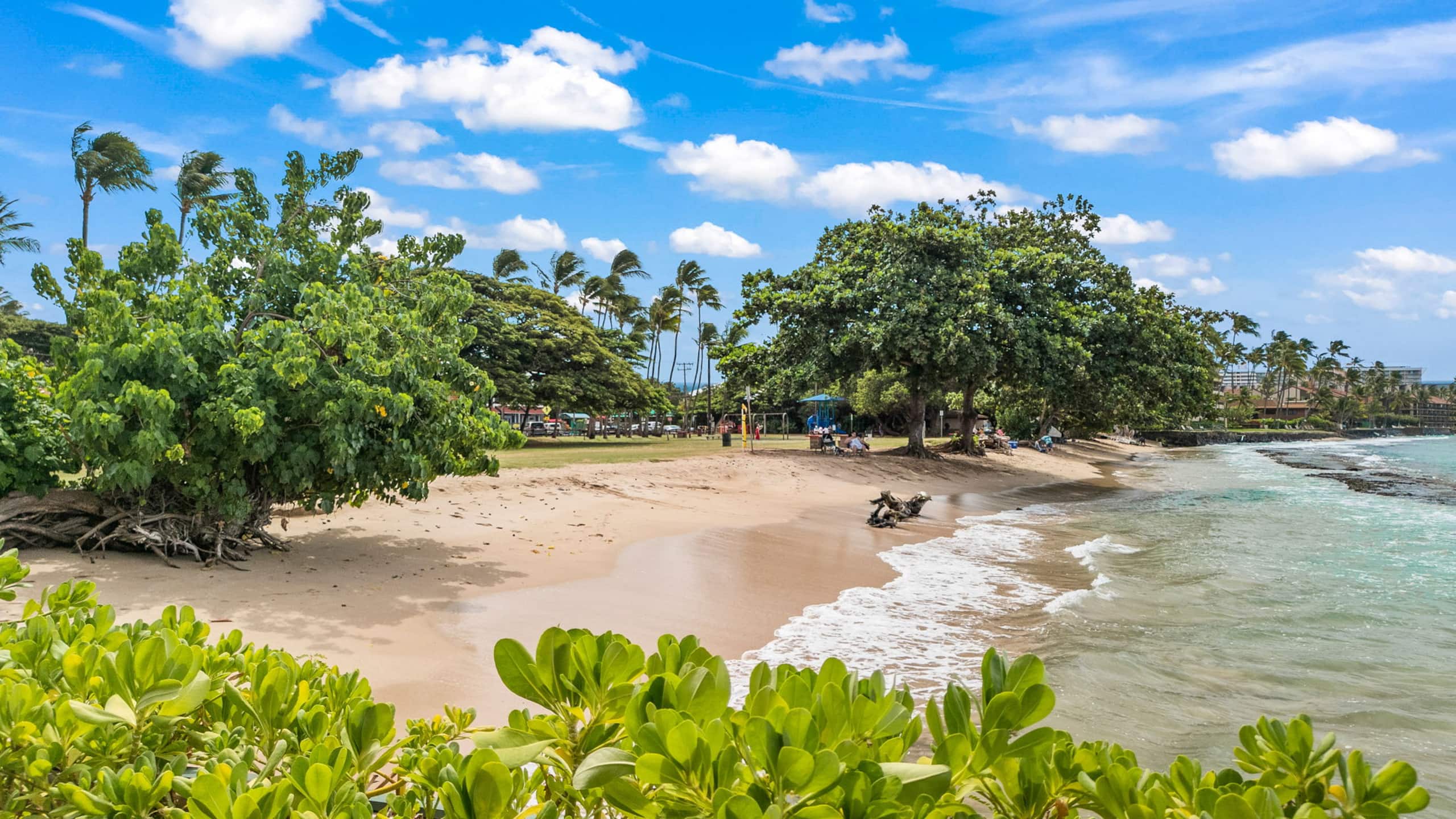 Beachfront Bliss - Photo 53