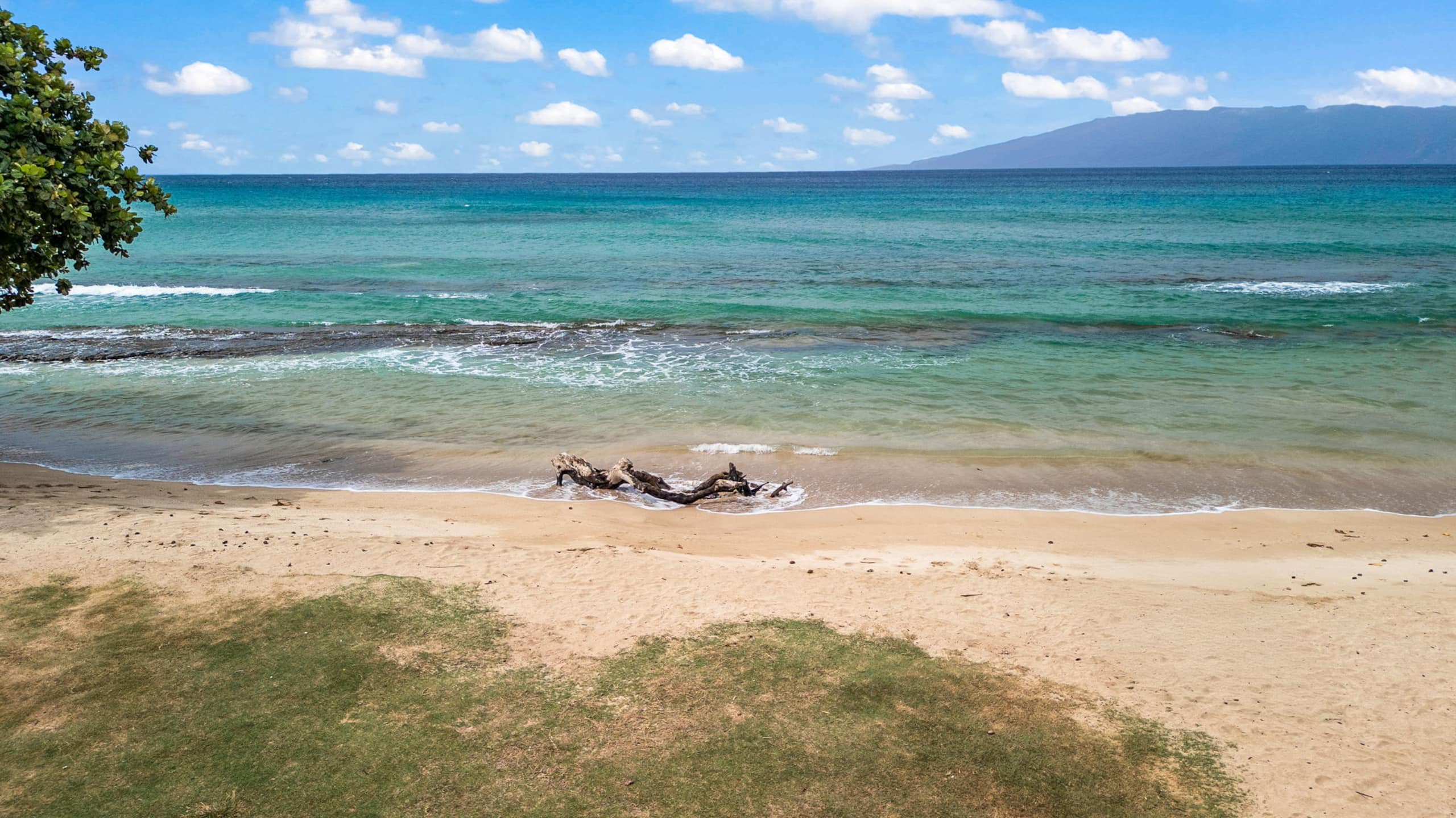Beachfront Bliss - Photo 51