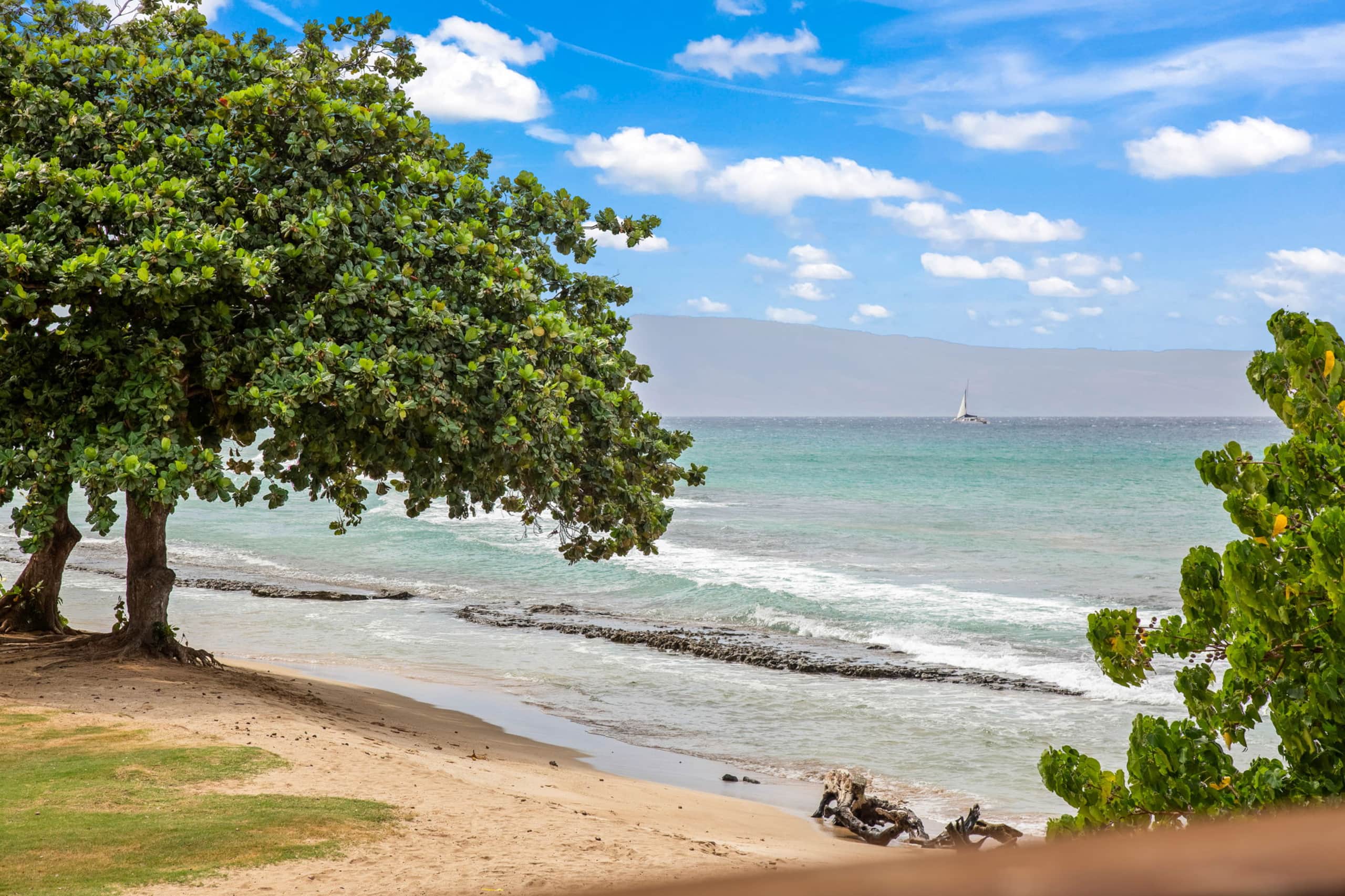 Beachfront Bliss - Photo 45
