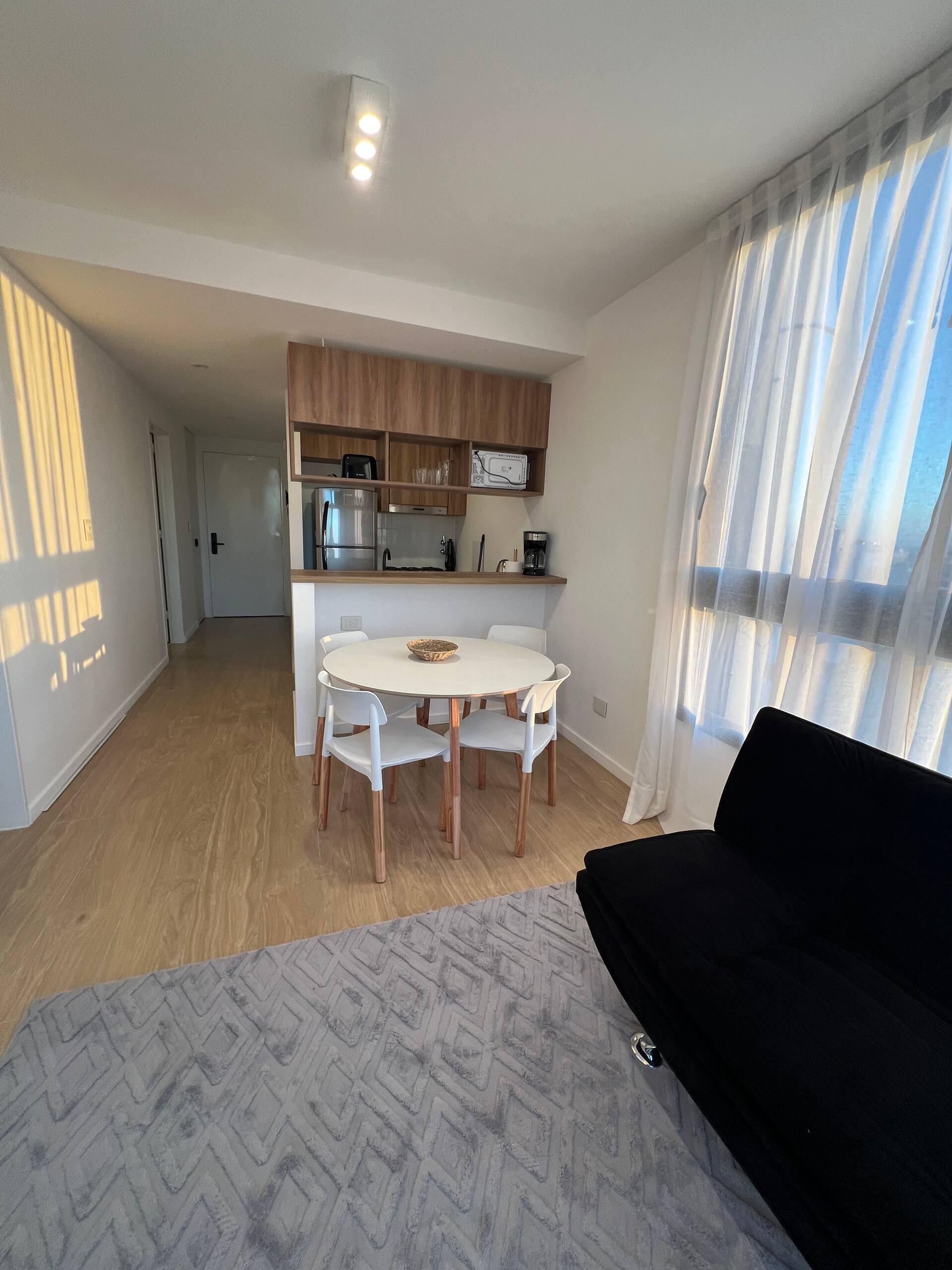 Brand new furnished one-bedroom apartment in Villa del Parque