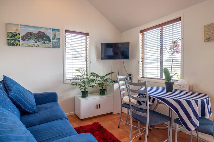 Accessible Palm Beach Villa - 懷希基島