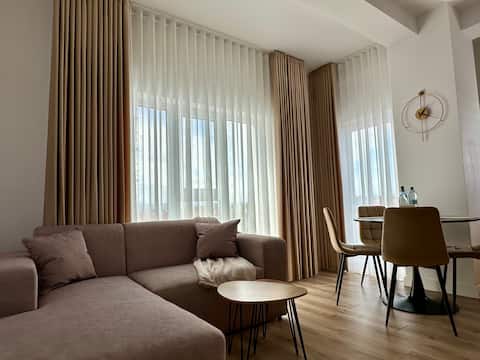 Cozy Apartment Radauti