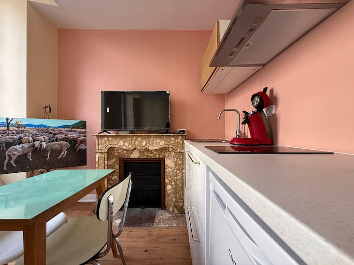 Studio La Tour Rénov-rue Grotte-jardin-sanctuaires - Lourdes