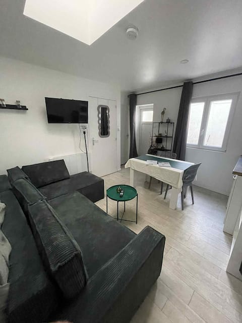 Successful Airbnb property: Warm and well-located studio, metro nearby in Croix