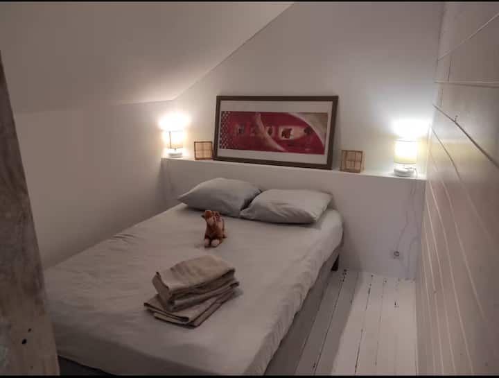 Quarto