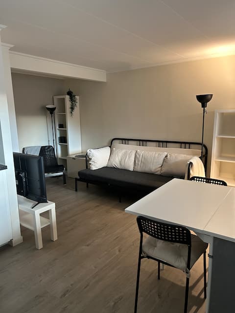 Bright basement apartment with patio near the city center and HVL