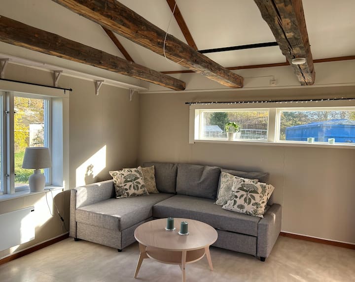 غرفة المعيشة