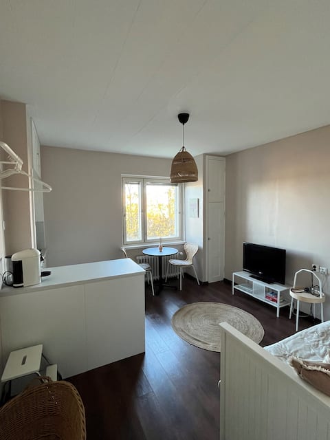 Top Airbnb: Cozy studio apartment with excellent connections in Läntinen Suurpiiri