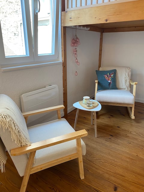 Top performing Airbnb: Mini-house • City center in Besançon