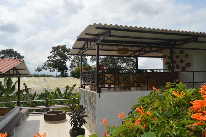 La habitación se encuentra ubicada en cabaña auxiliar, El Cafetal, cuenta con una sala para café y comparte baño con habitación continua con camarote. un espacio muy familiar y privado
Por favor cuidar los tendidos y toallas.