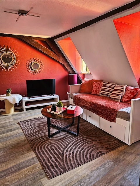 Popular Airbnb listing: Nice 2-bedroom apartment in the historic center of Mulhouse in Mulhouse
