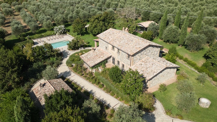 Italian Villa With Pool Among Olive Trees - Bolsena
