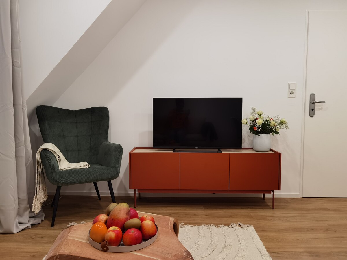 Top performing Airbnb: Renovated Apartment with view of the Main River in Würzburg