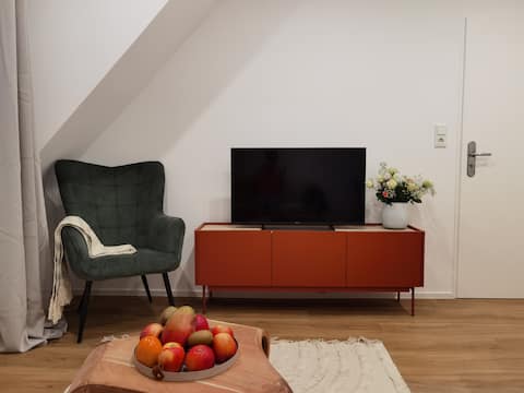 Top performing Airbnb: Renovated Apartment with view of the Main River in Würzburg