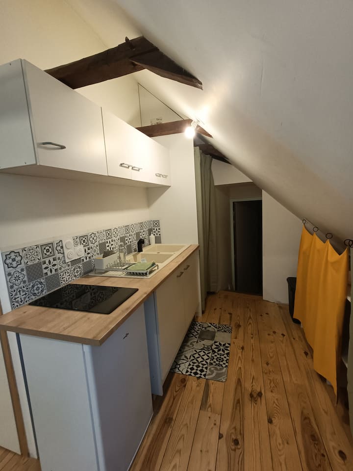 Appartement Atypique Et Lumineux - Neuvic