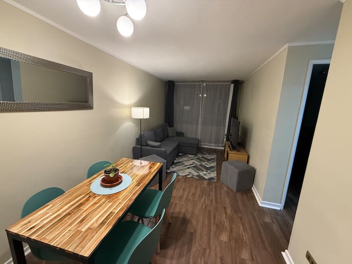 Cozy Apart. 2 Beds In The Heart Of Santiago Centro - Chile