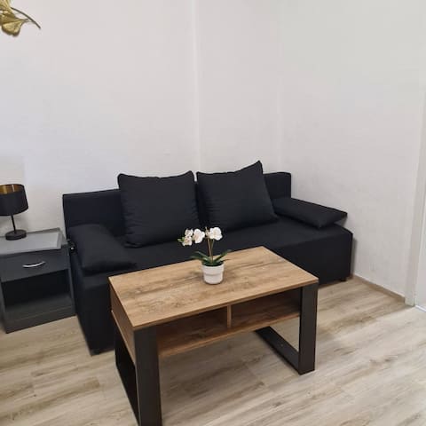 Erfolgreiche Airbnb-Immobilie: Business Apartment 1 in Stadtkern