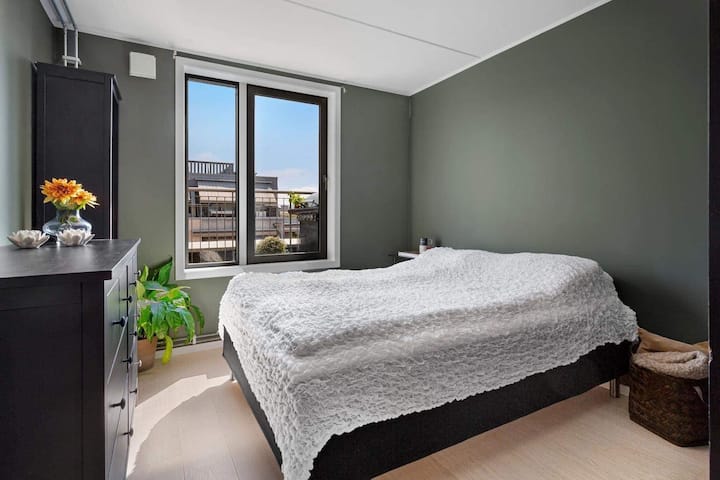 صورة قديمة - تم ترقية الأثاث، ولكن الموقع هو نفسه. يوجد تلفزيون مع AppleTV في غرفة النوم الرئيسية