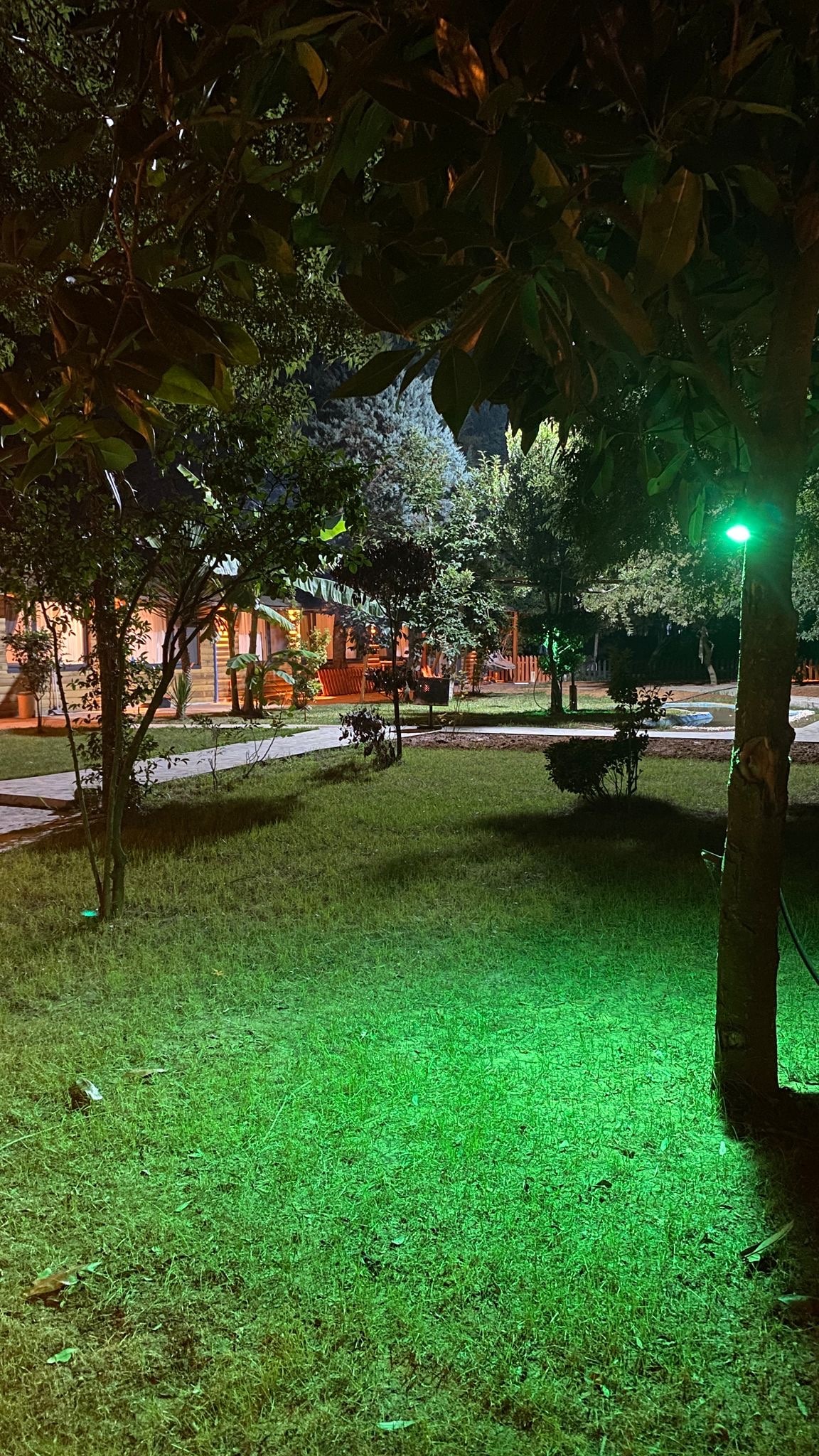 No:1 Doğayla İç İçe, Sakin ve Şirin Küçük Ev