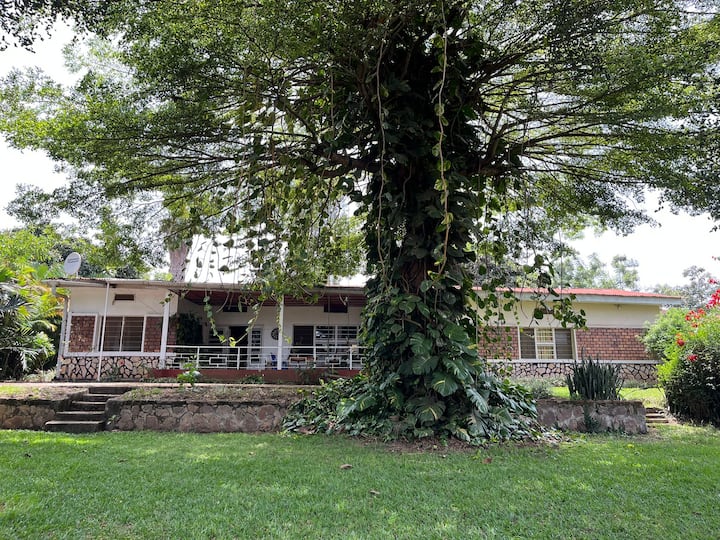 Quiet Green Haven In Central Kigali Location - Rwanda