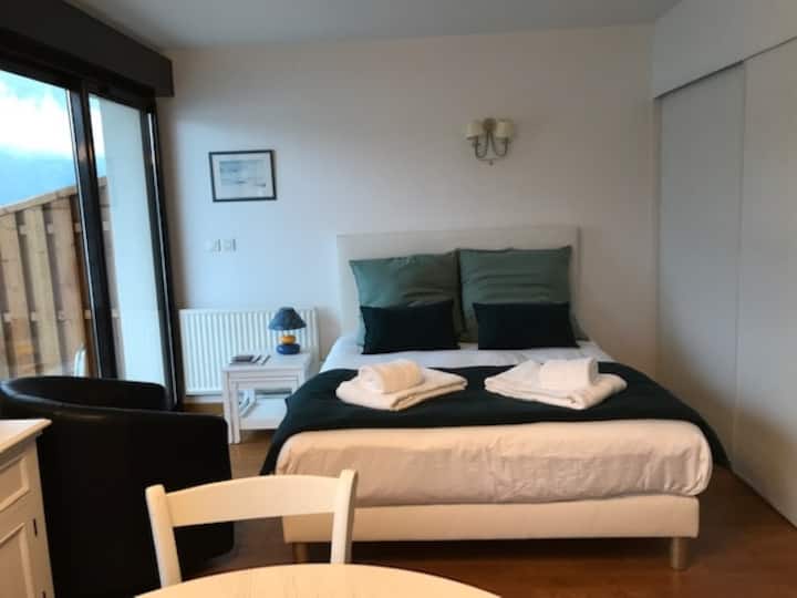 Le Studio Rivage - Surplombant Le Lac - Duingt