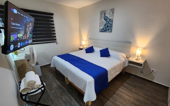 Главна спална соба со брачен кревет, паметен телевизор, плакар, гардеробер и приватна бања