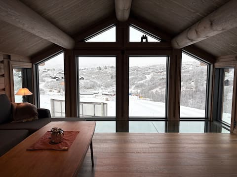 Successful Airbnb property: Cabin in Vågslid in Vinje