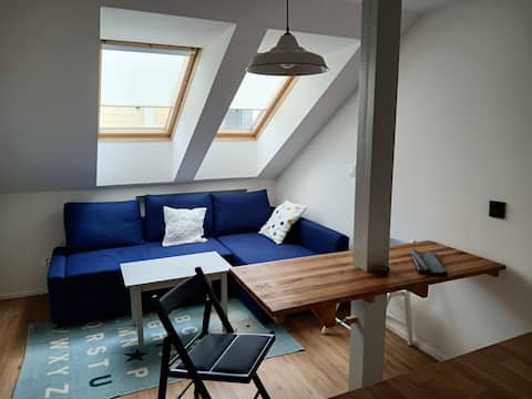 Successful Airbnb property: Garsonka Apropo in Praha 2
