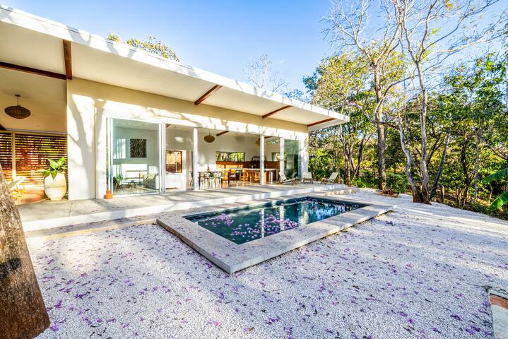 Full Private jungle Surf House at Playa Avellanas
