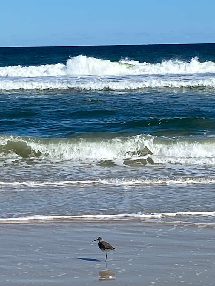 Walk To Beach! 
Monthly Rental
Oceanfront Pool/spa - パーム・コースト, FL