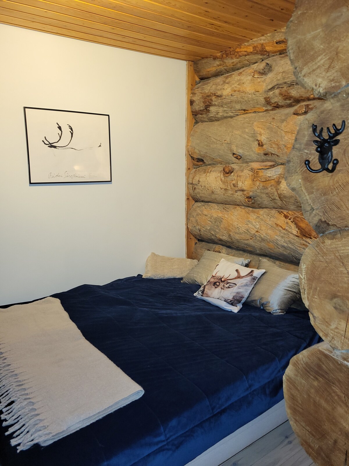 Beneden 160 cm tweepersoonsbed in de slaapniche, met verduisteringsgordijnen. 