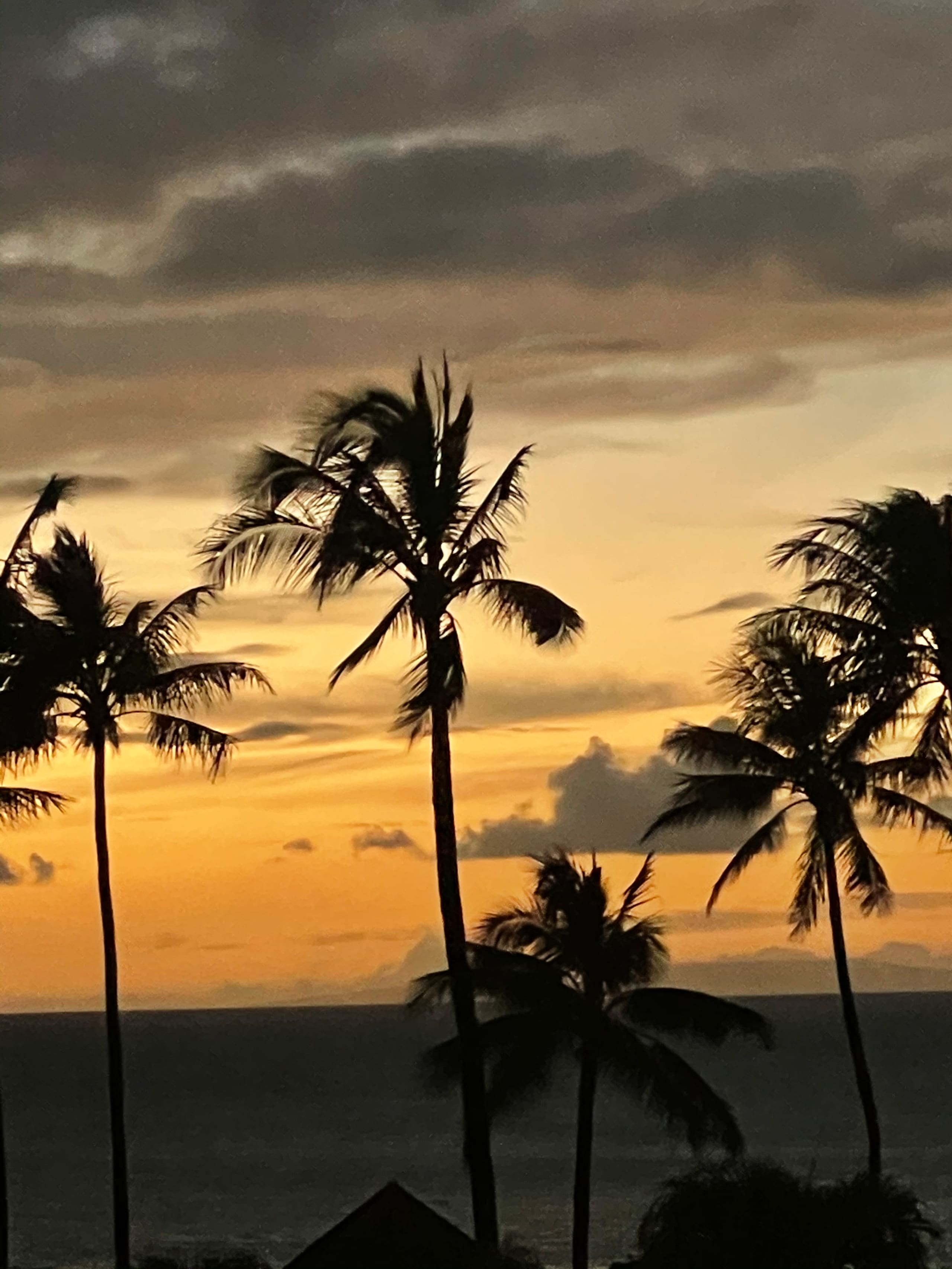 Condo in Lahaina · ★5.0 · 2 bedrooms · 2 beds · 2 private baths - Image 24