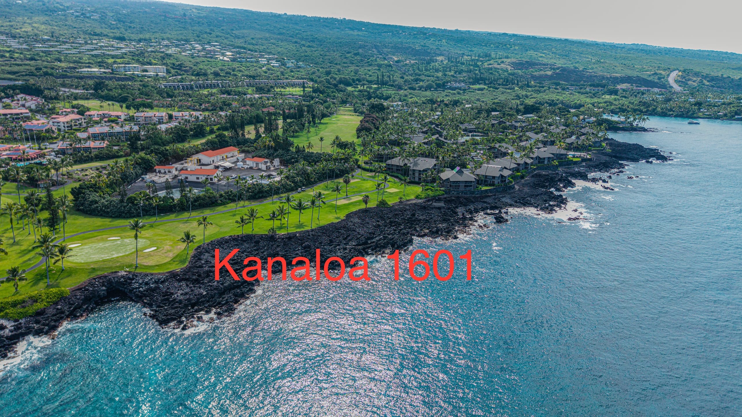 Condo in Kahaluu-Keauhou · ★4.95 · 1 bedroom · 2 beds · 2 baths - Photo 23