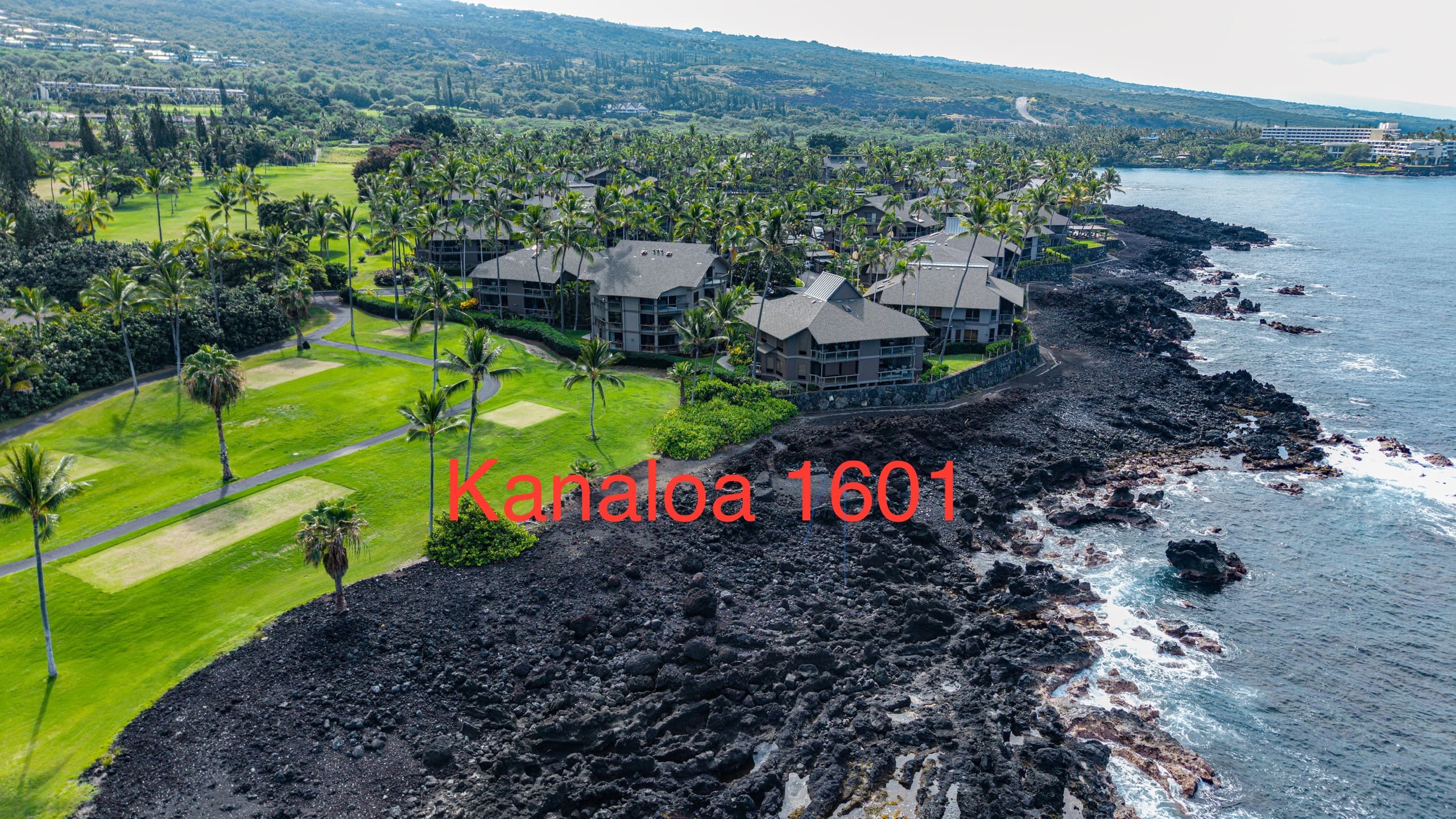 Condo in Kahaluu-Keauhou · ★4.95 · 1 bedroom · 2 beds · 2 baths - Photo 22