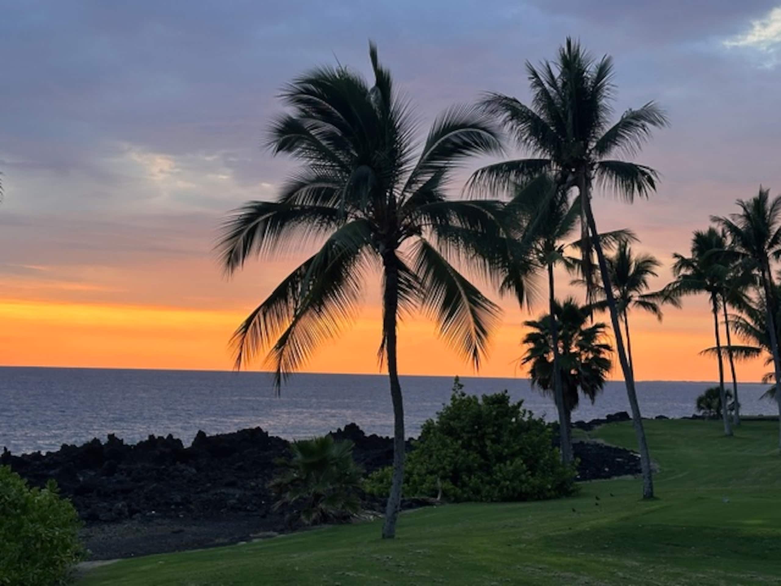 Condo in Kahaluu-Keauhou · ★4.95 · 1 bedroom · 2 beds · 2 baths - Photo 15