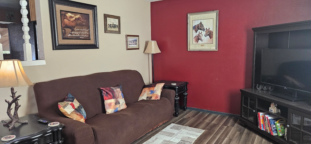 Successful Airbnb property: Spacious home away from home! in Pueblo