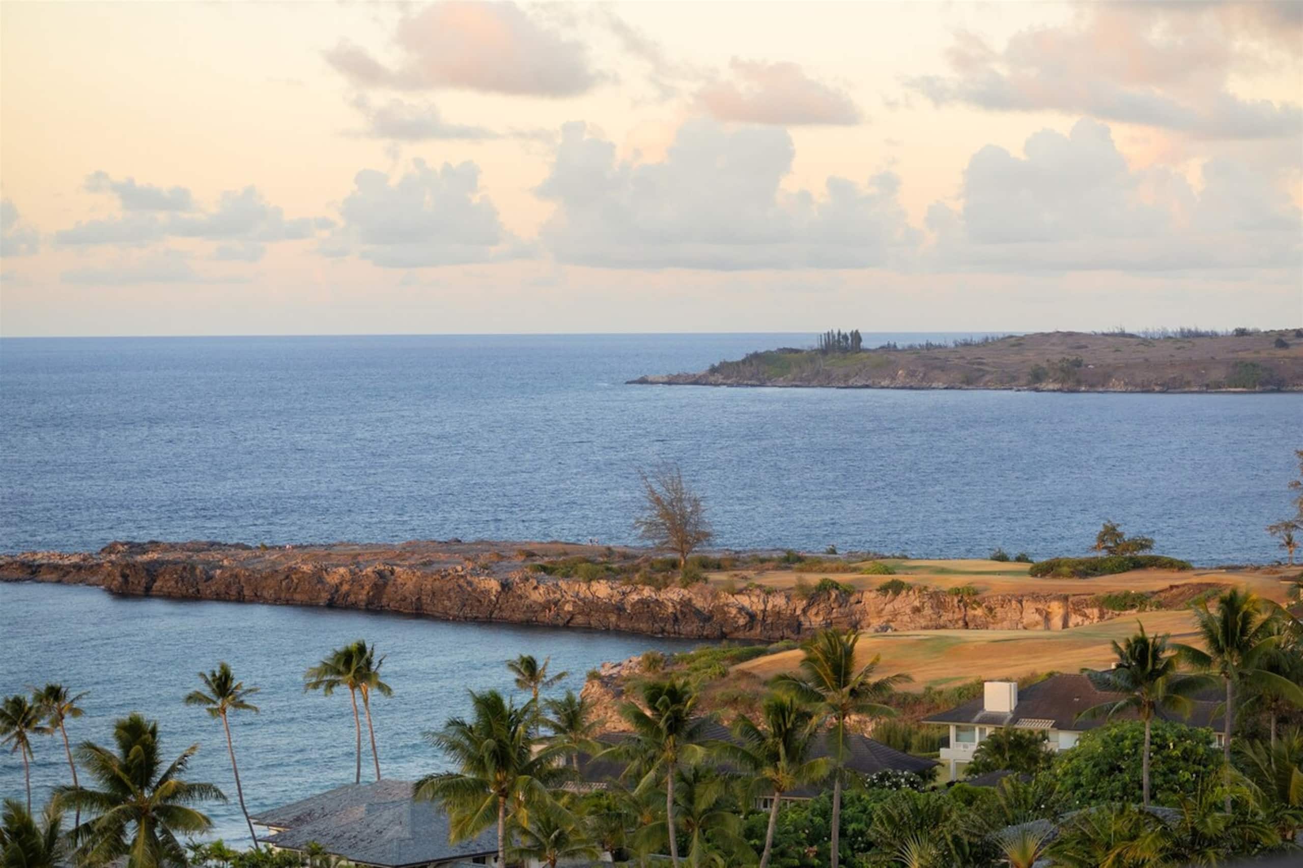 Villa in Lahaina · ★5.0 · 1 bedroom · 2 beds · 2 baths - Image 19