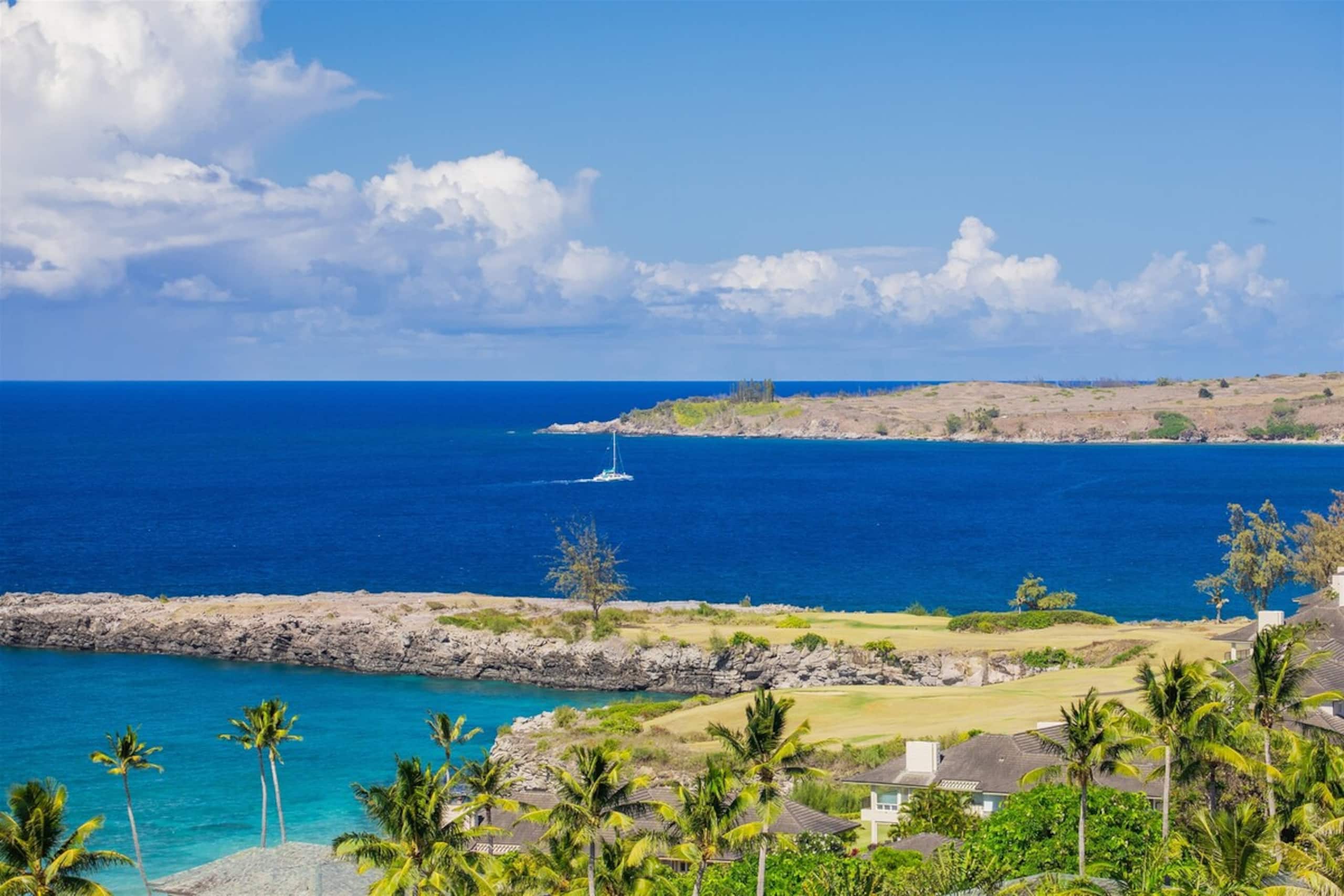 Villa in Lahaina · ★5.0 · 1 bedroom · 2 beds · 2 baths - Image 33