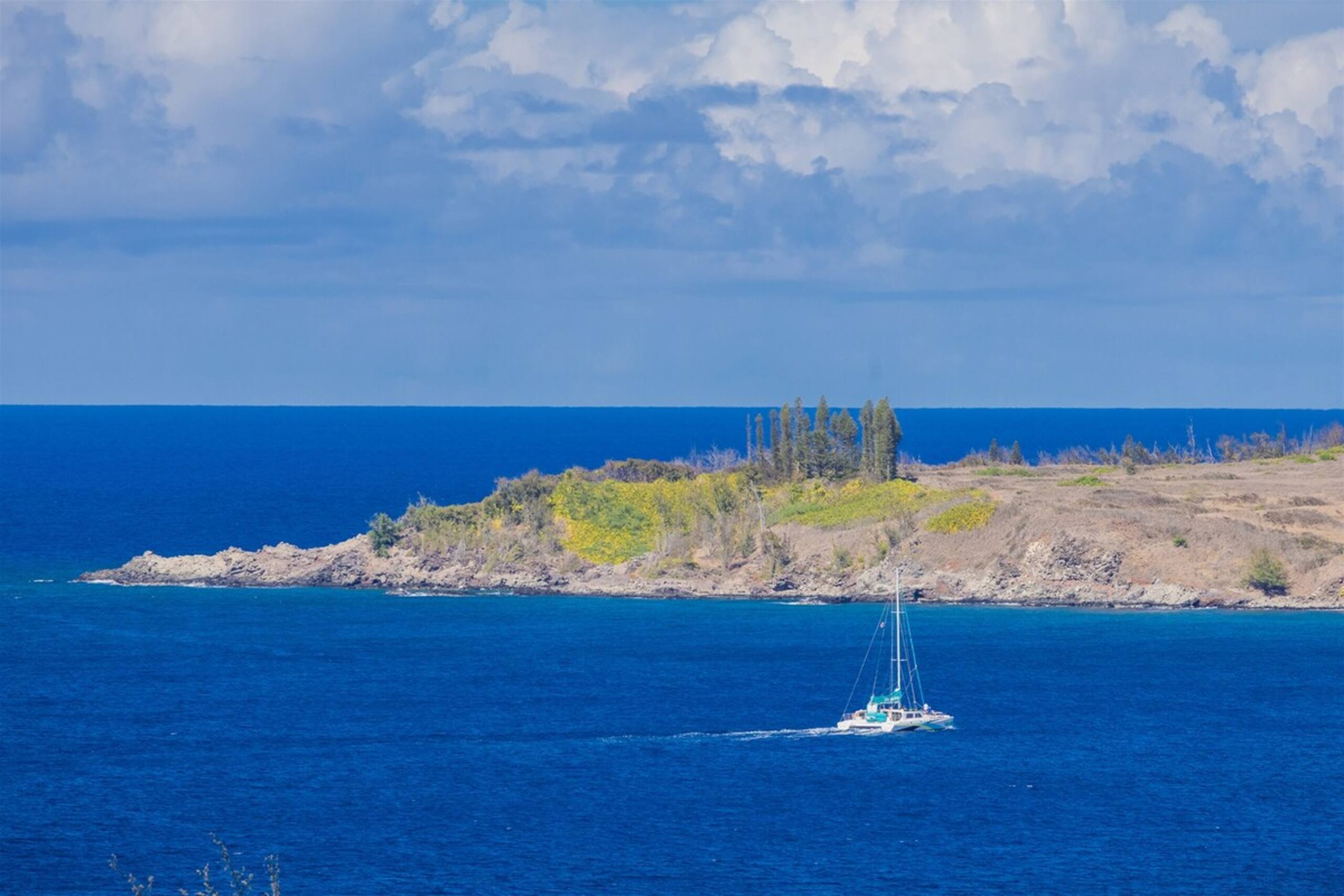 Villa in Lahaina · ★5.0 · 1 bedroom · 2 beds · 2 baths - Image 34