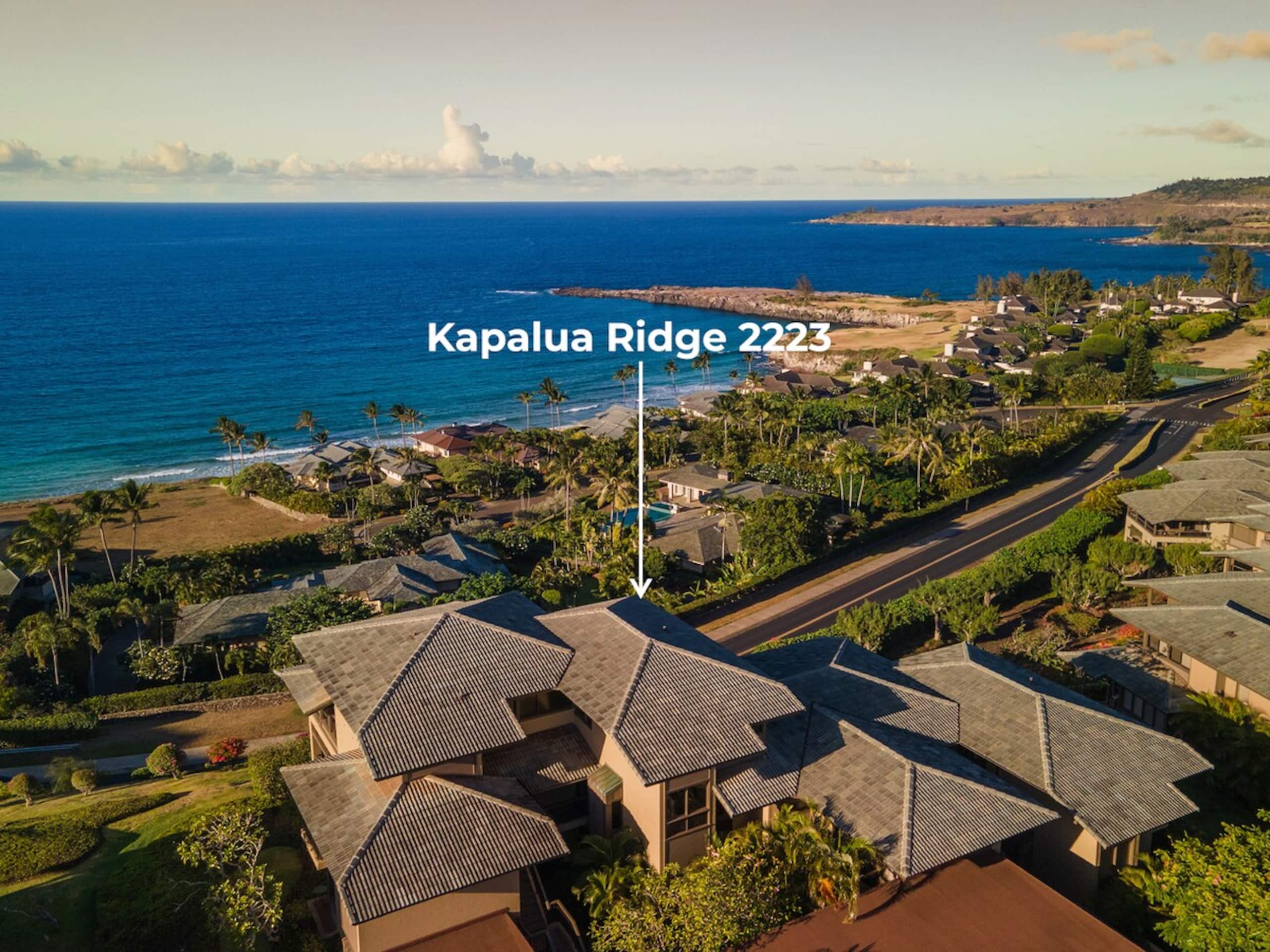 Villa in Lahaina · ★5.0 · 1 bedroom · 2 beds · 2 baths - Image 41